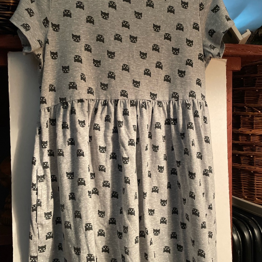 Girls Cat Dress from Wonder Nation. Size XL ( 14-16).